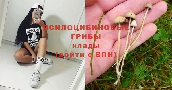mix Касимов