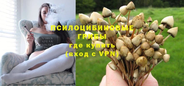 твердый Карпинск