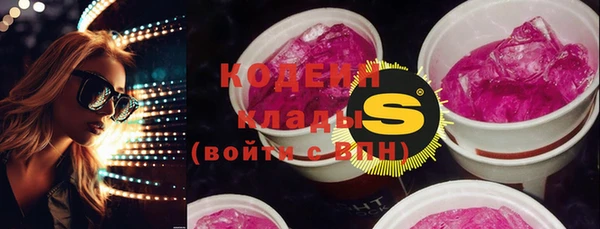 твердый Карпинск