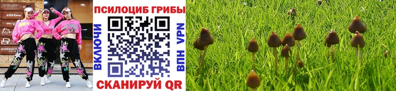 Купить  Бахчисарай  Галлюциногенные грибы Cubensis 