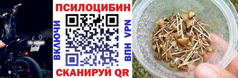 Псилоцибиновые грибы мицелий Бахчисарай
